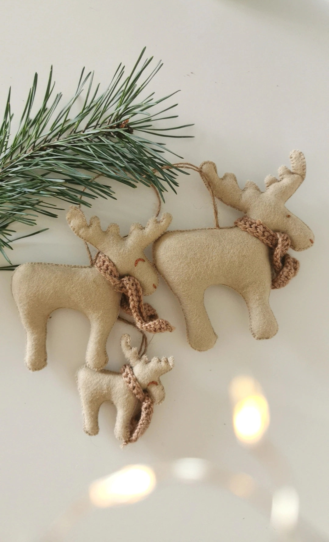 Семья Рени (3 члена)