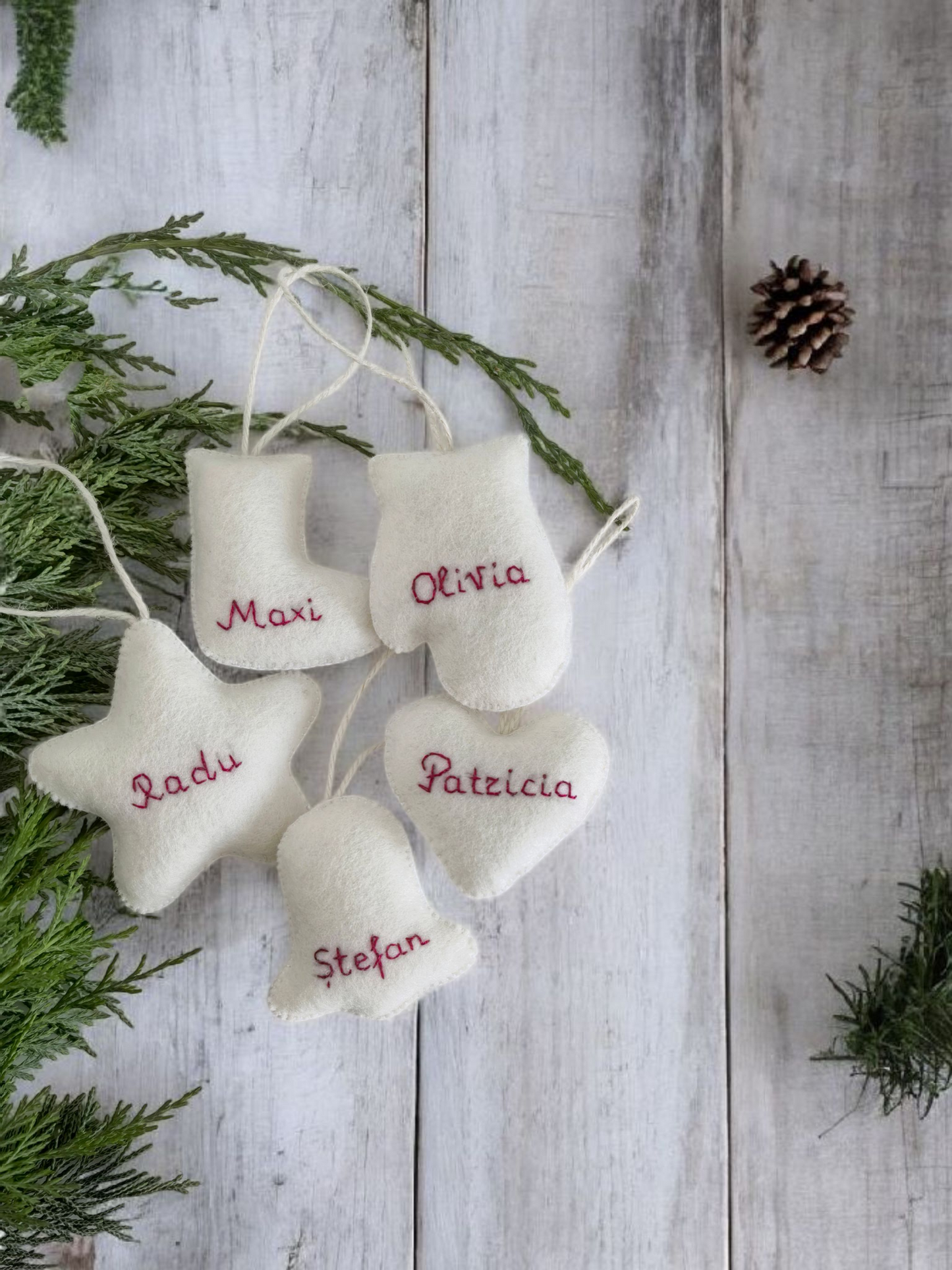 Set "Family" cu nume personalizat