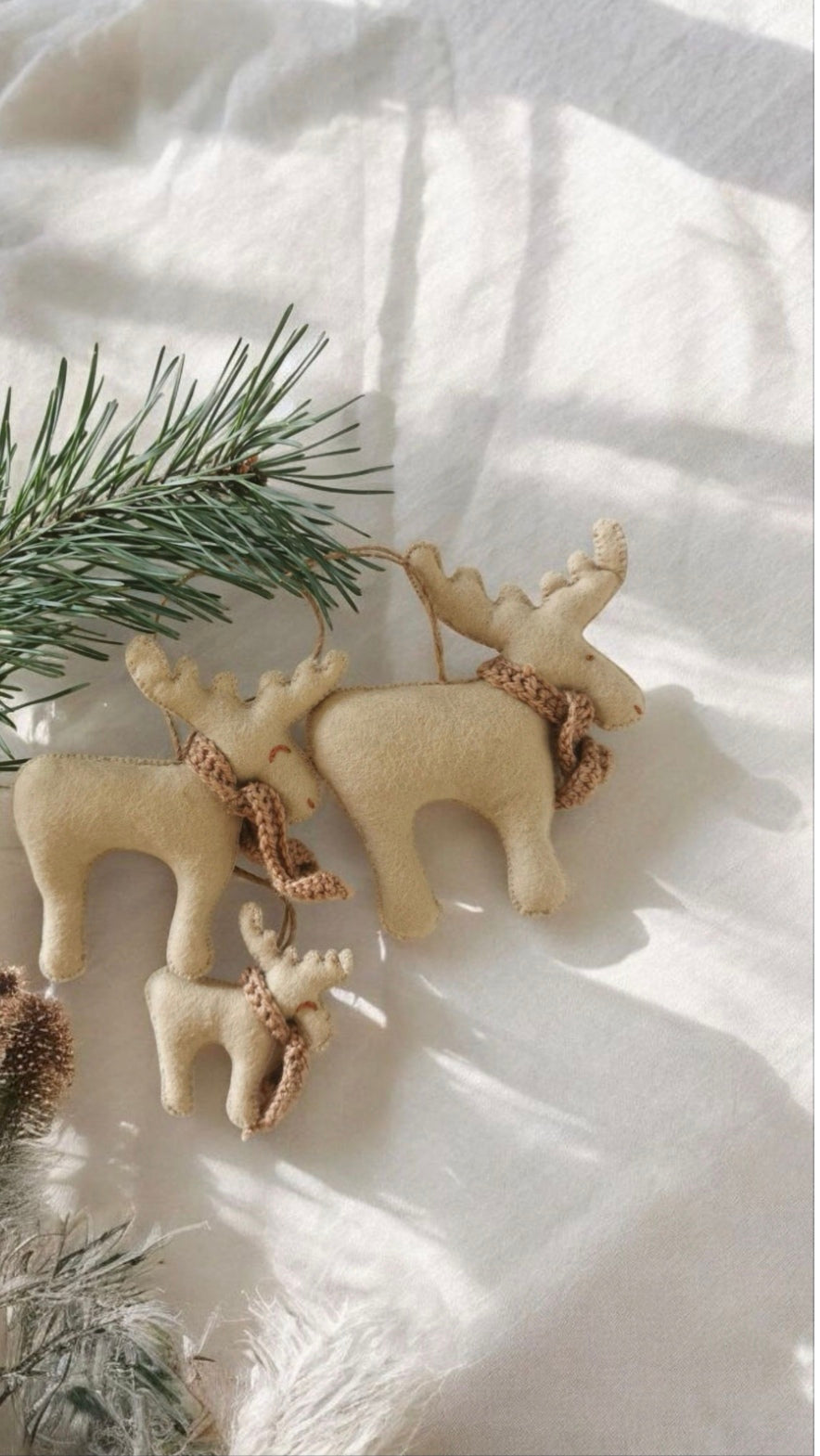 Семья Рени (3 члена)