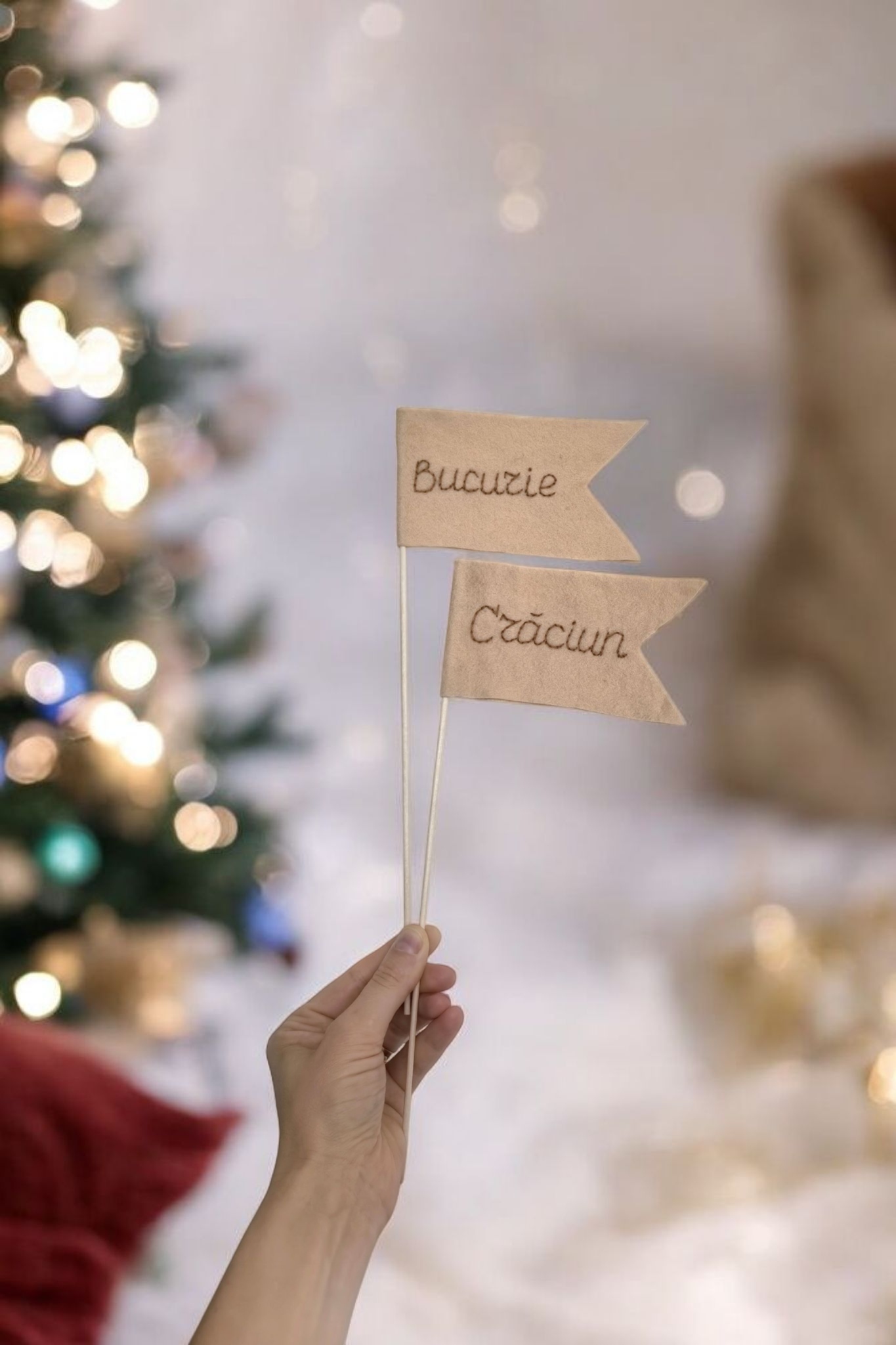 Set Stegulete cu mesaj