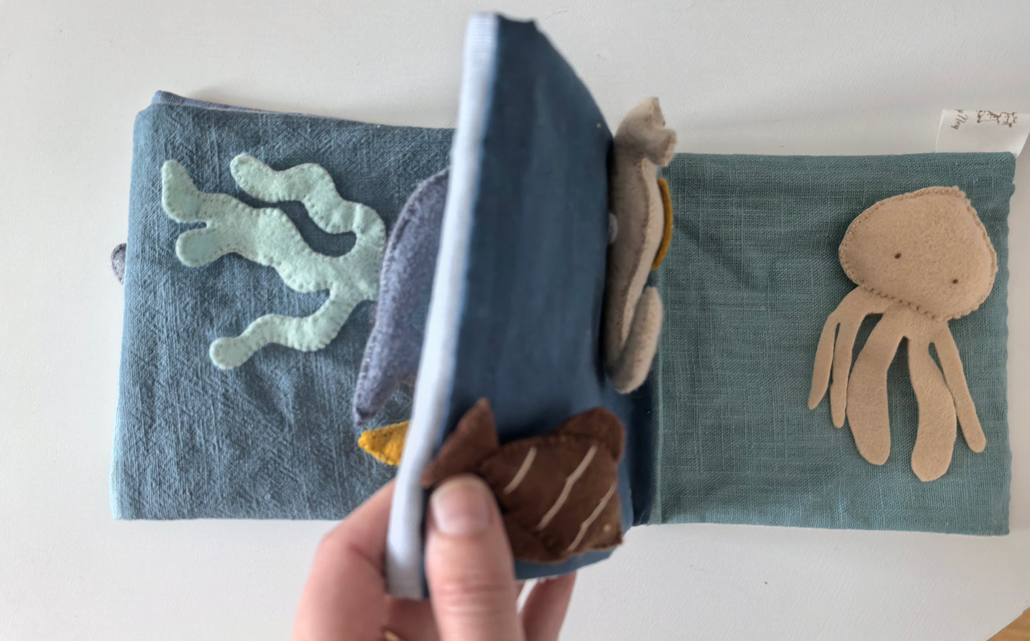 Cărticica "Ocean Life"