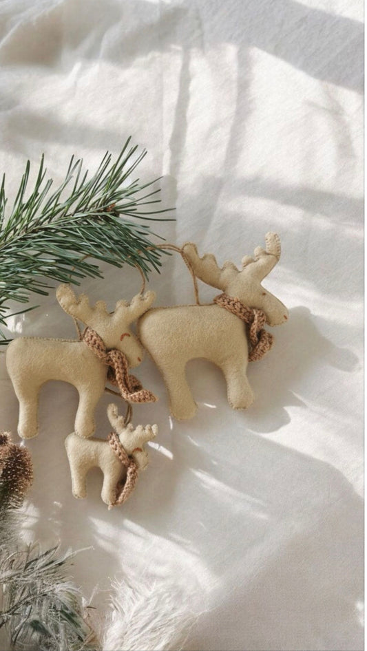 Familia de Reni (3 membri)