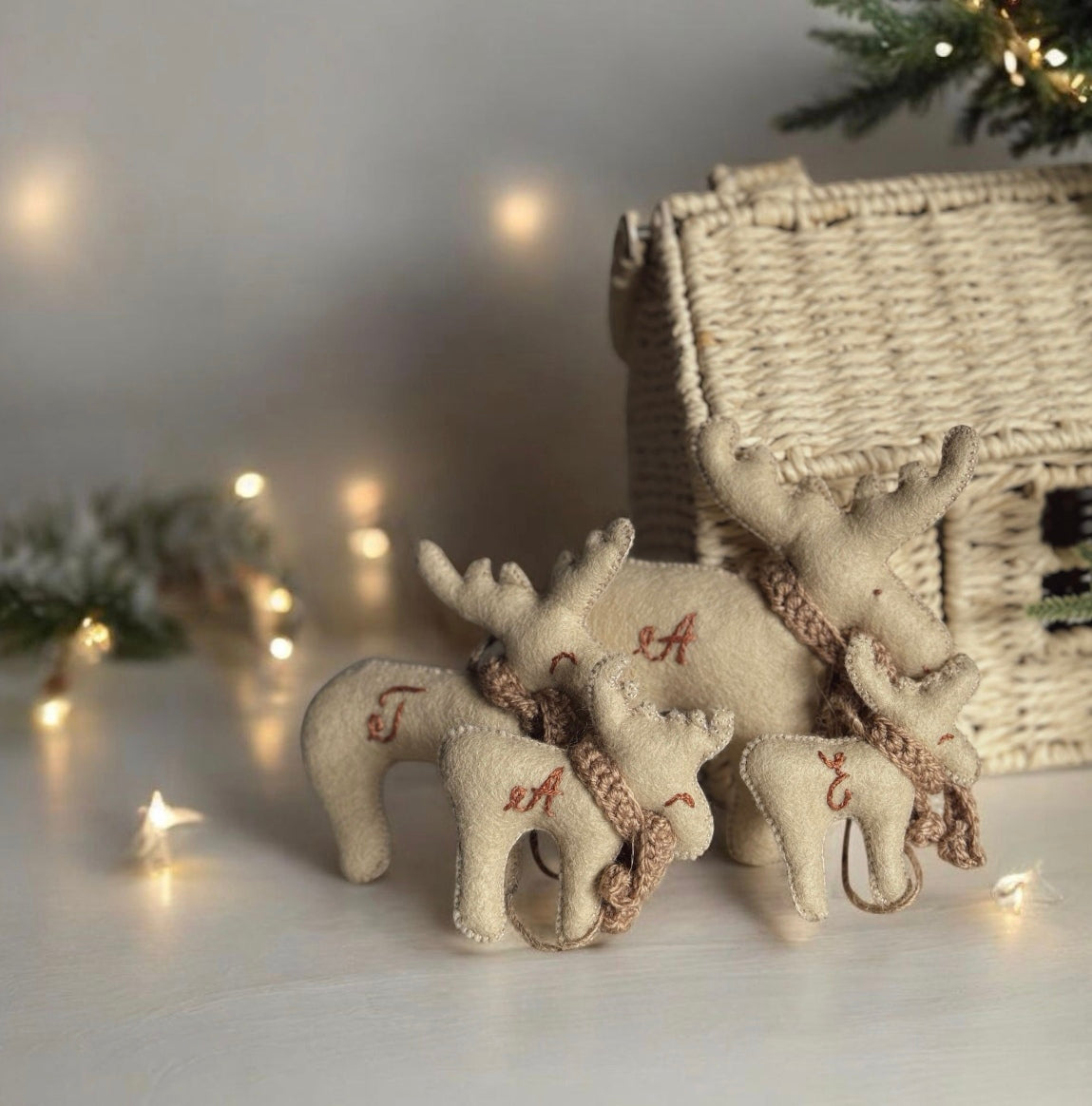 Familia de Reni cu Initiala(4 члена)