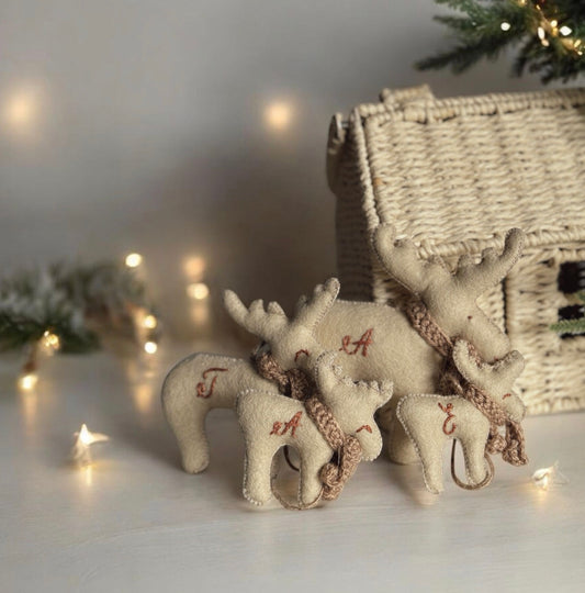 Familia de Reni cu Initiala(4 члена)